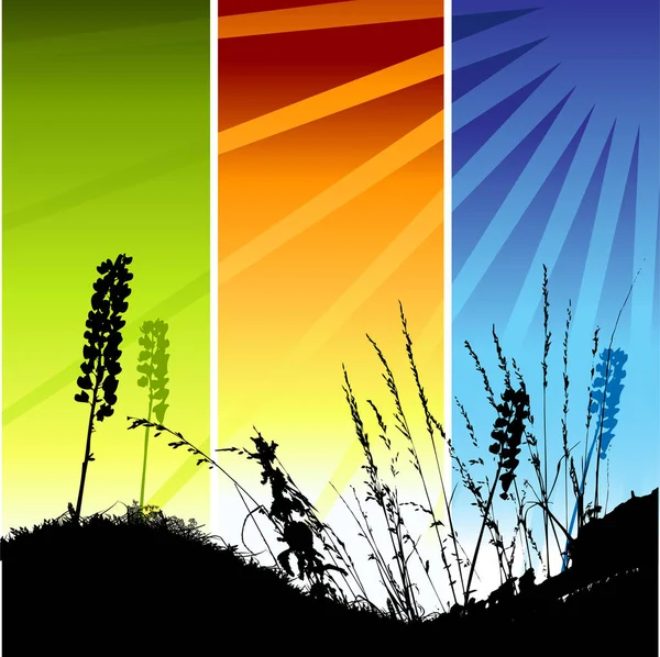 Silhouette Herbe Sur Prairie — Image vectorielle