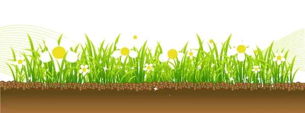 草地上的花朵 — 图库矢量图片