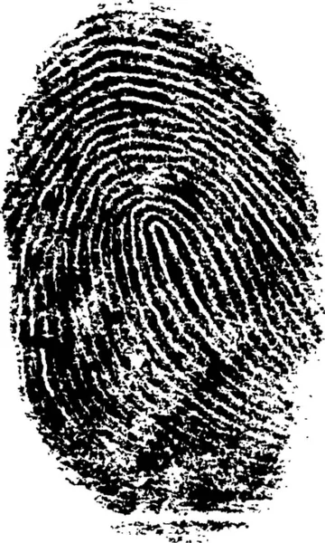 stock vector Black and White Vector Fingerprint - Very accurately scanned and traced ( Vector is transparent so it can be overlaid on other images, vectors etc.