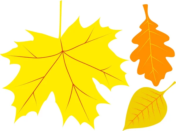 Векторная Иллюстрация Тремя Цветными Осенними Листьями — стоковый вектор