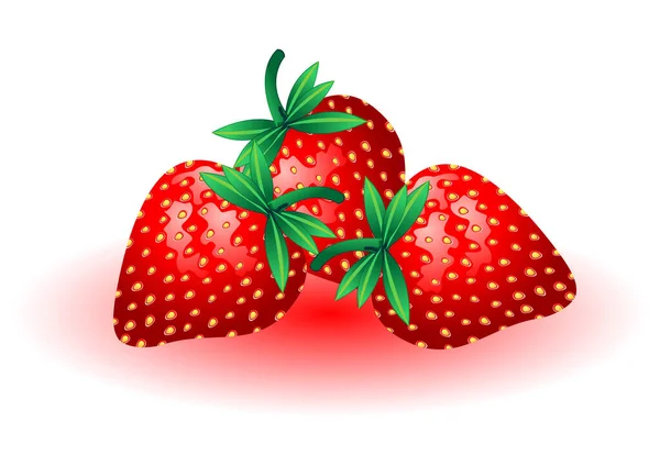 新鲜美味的草莓在白色的背景上被分离出来 — 图库矢量图片