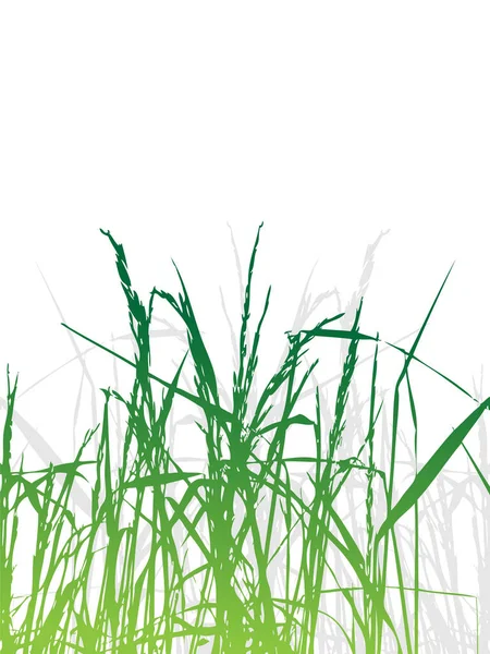 Gras Silhouet Groen Zomer Achtergrond — Stockvector