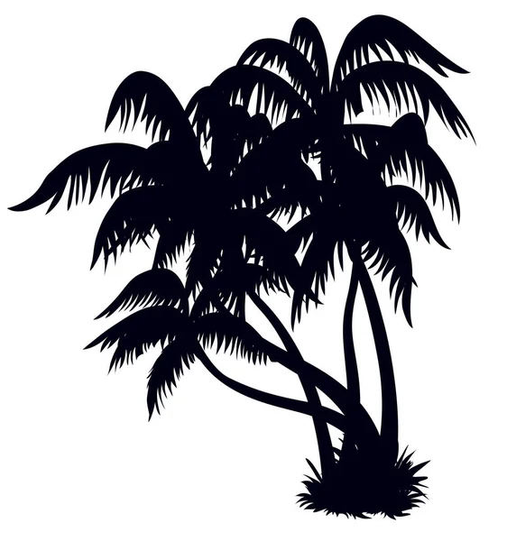 Silhouette Einer Palme Strand Gestaltungselement — Stockvektor