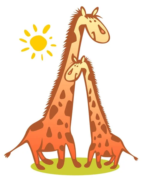 Duas Girafas Engraçadas Sol Isolado Fundo Branco — Vetor de Stock