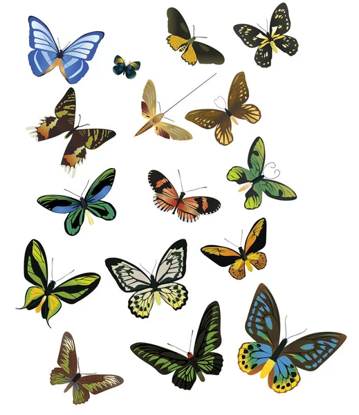 白い背景の上に色とりどりの蝶 — ストックベクタ