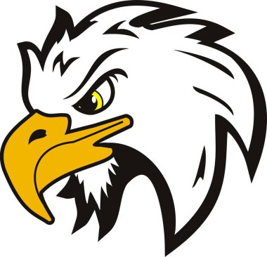 illüstrasyon vektör baş kartal