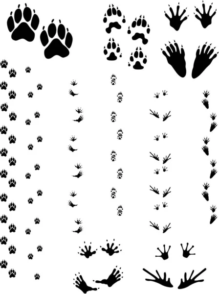 五个不同动物的爪子印和脚印 左上方排到右 矢量都是干净的物体 容易着色或添加背景 矢量文件中的所有非黑色区域都是透明的 — 图库矢量图片