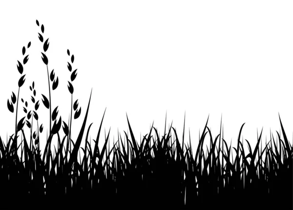 Травяной Векторный Рисунок Горизонтальный Черный Силуэт — стоковый вектор