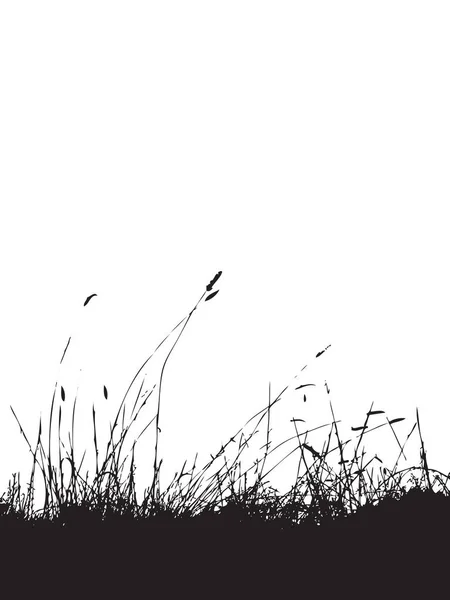 草のシルエット 黒背景 — ストックベクタ