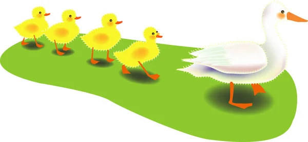 Vektor Ilustrasi Untuk Bebek Ibu Membawa Serta Untuk Bebek Sebagai - Stok Vektor