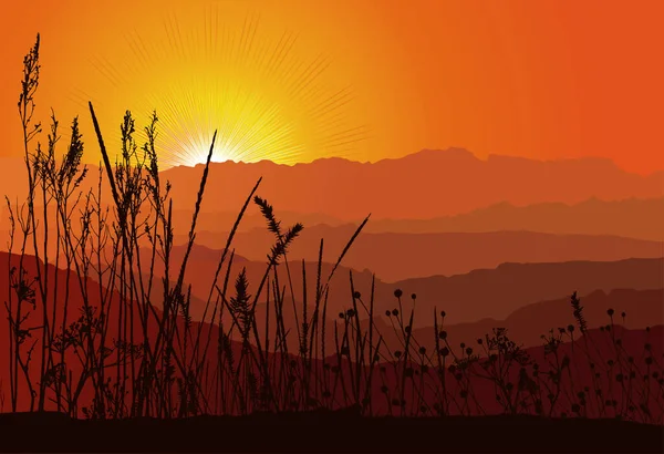 Çimen Siluetiyle Dağların Üzerinde Güzel Bir Günbatımı — Stok Vektör