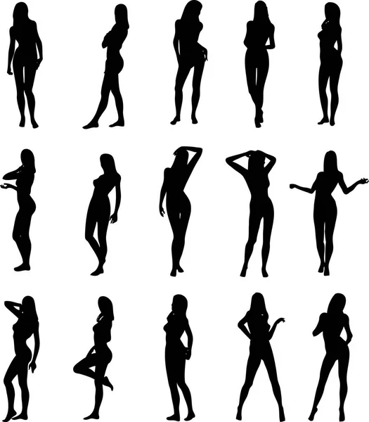 Illustratie Van Sexy Vrouw Silhouetten — Stockvector