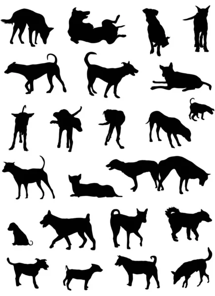 Vector Outline Silhouettes Generic Dogs Bangkok Strays — Stock Vector