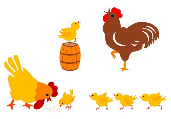 鸡的家庭形象 矢量图解 — 图库矢量图片