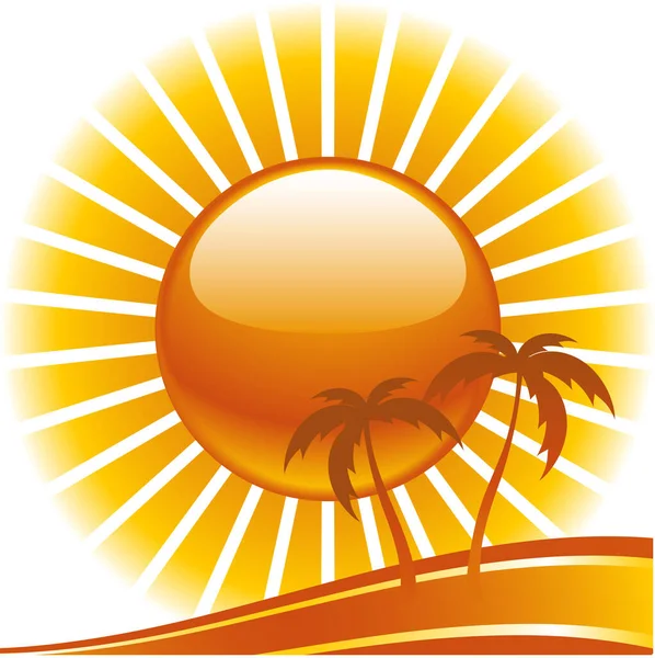 Vektorová Ilustrace Reflexního Slunce Paprsků Zapadajících Palmy — Stockový vektor