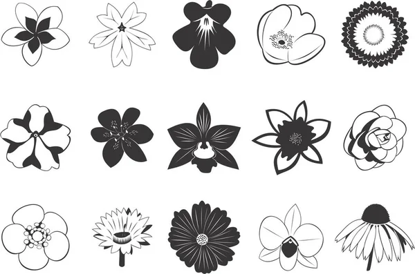 Çeşitli Çiçeklerin Pürüzsüz Vektör Eps Illüstrasyonlarının Koleksiyonu — Stok Vektör