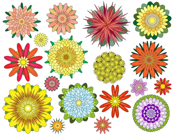 Zestaw Edytowalnych Wektorowych Symetrycznych Wzorów Kwiatów — Wektor stockowy