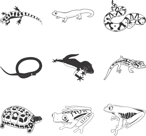 Varios Reptiles Anfibios Juego Clipart Vectorial — Vector de stock
