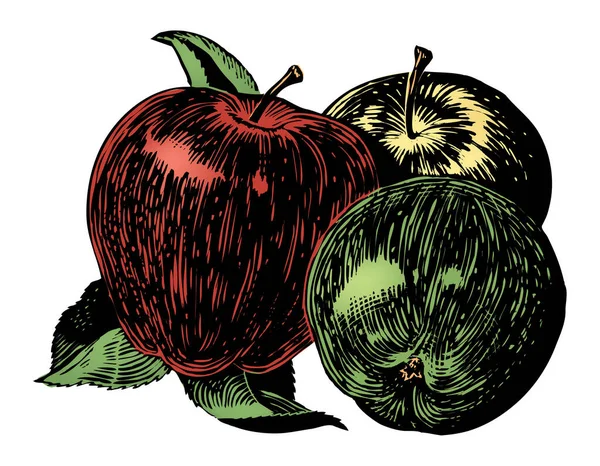 Klasyczne Jabłko Lat Tych Szczegółowa Czerń Biel Autentycznej Ręcznie Rysowanej — Wektor stockowy