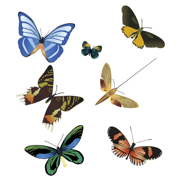 Sept Papillons Multicolores Sur Fond Blanc — Image vectorielle