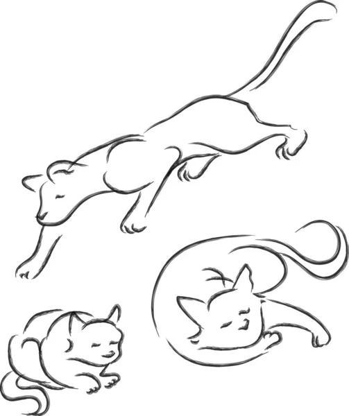 猫やペットのための様々なビューのためのベクトルイラストのスケッチ — ストックベクタ