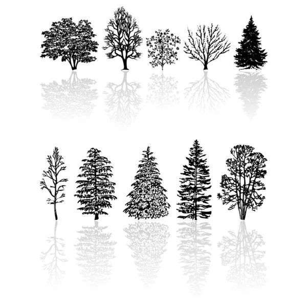 Différents Types Silhouettes Arbres Isolés Sur Blanc — Image vectorielle