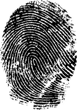 Black and White Vector Fingerprint - Very accurately scanned and traced ( Vector is transparent so it can be overlaid on other images, vectors etc. clipart
