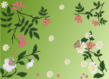 Çiçek arkaplanı - vektör illüstrasyonu