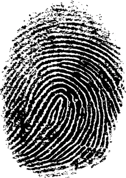 Black White Vector Fingerprint Very Accurately Scanned Traced Vector Transparent — Stock Vector
