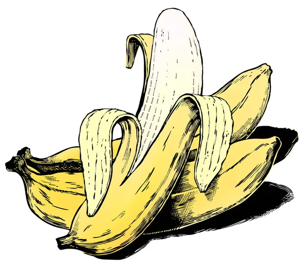 Bananas Estilo Gravado Vintage Dos Anos Preto Branco Detalhados Scratchboard — Vetor de Stock