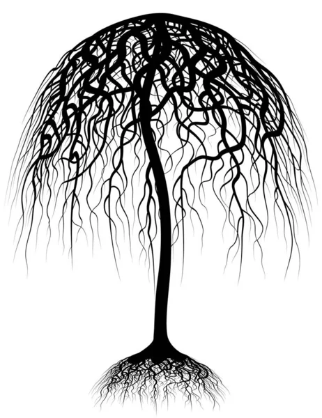 Ilustrație Vectorială Editabilă Unui Copac Rădăcinile Sale — Vector de stoc