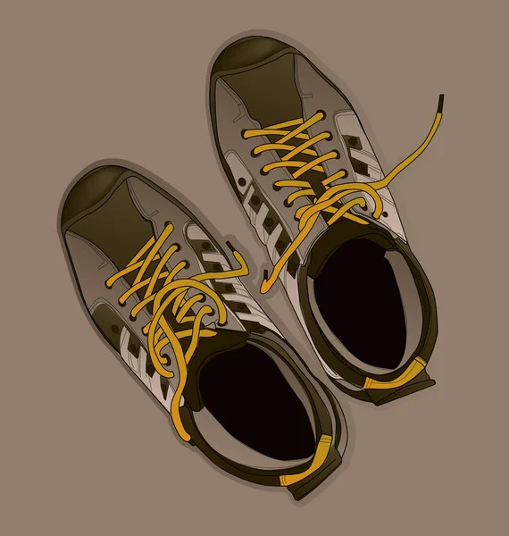 Wektorowe Ilustracje Butów Sportowych Trampki — Wektor stockowy
