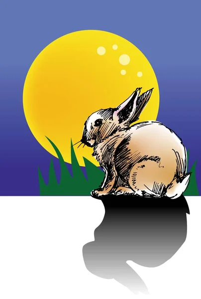 Abbildung Vektor Für Ein Kaninchen Bei Vollmond Der Nacht — Stockvektor