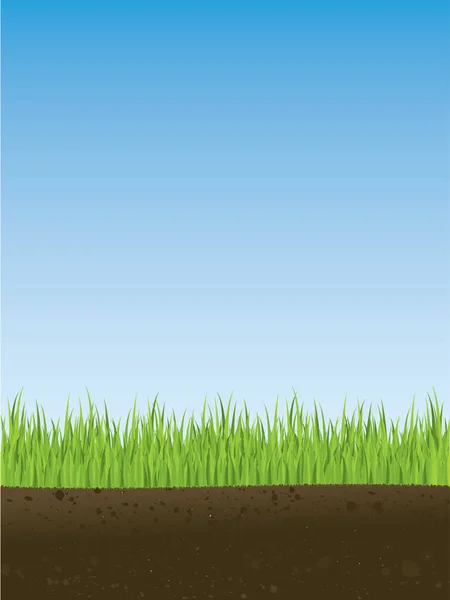 春草の断面図 イラストはシームレスでタイル化できます — ストックベクタ