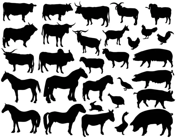 Векторные Силуэты Различных Животных — стоковый вектор