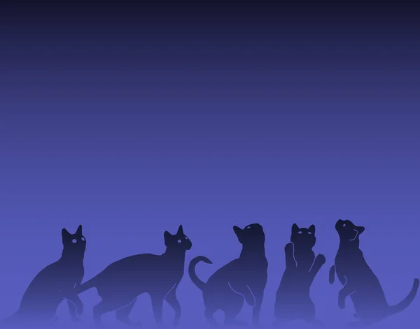 Vektor Hintergrunddesign Neugieriger Katzen — Stockvektor