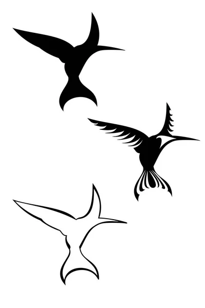 Zestaw Trzech Plemiennych Tatuaży Kolibra — Wektor stockowy