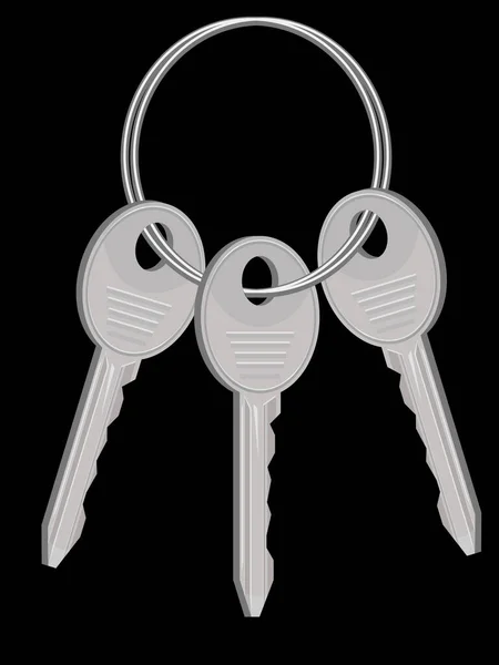 Schlüsselbund Aus Dem Haus Auf Einem Ring Einem Vecto — Stockvektor