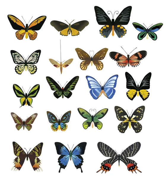 Muchas Mariposas Multicolores Sobre Fondo Blanco — Vector de stock