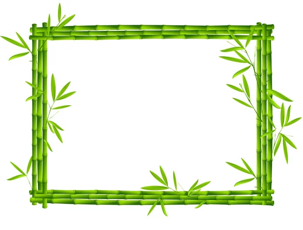 Bamboe Frame Afbeelding Kleur Illustratie — Stockvector