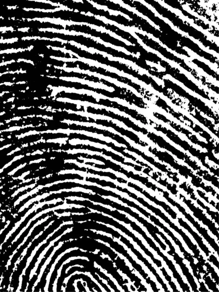 Black White Vector Fingerprint Crop Sehr Genau Gescannt Und Verfolgt — Stockvektor