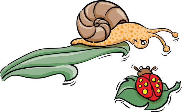 Illustration Snail Image Color Illustration — Stock Vector