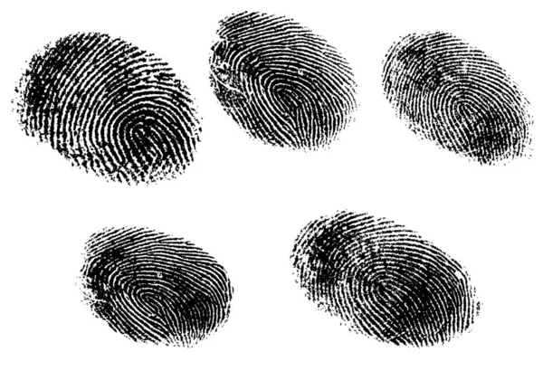 Black White Vector Fingerprints Very Accurately Scanned Traced Vector Transparent — Stock Vector