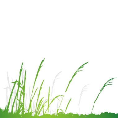 çim siluet yeşil, yaz arka plan