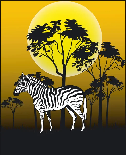 Тварини Африки Вектор Ілюстрації Формат — стоковий вектор