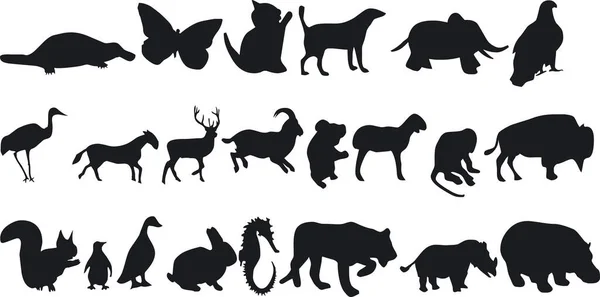 Illustration Des Silouettes Animales Image Vectorielle Illustration Couleur — Image vectorielle