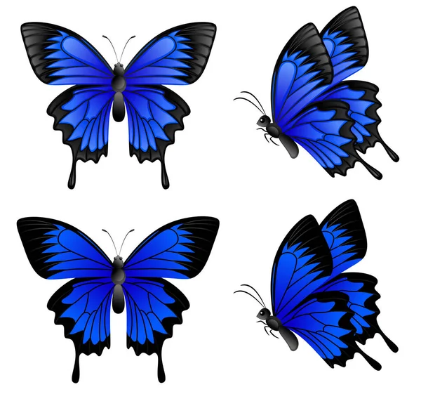 Blauer Schmetterling Bild Farbige Illustration — Stockvektor