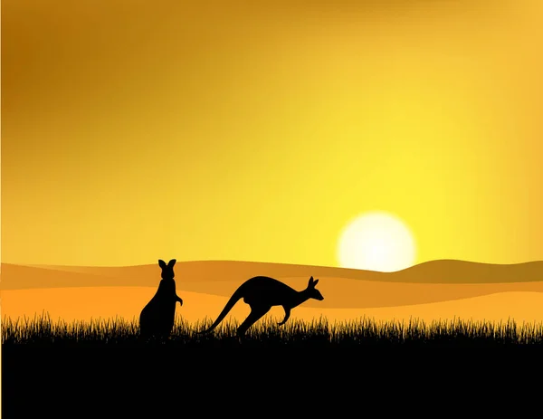 Solnedgång Australien Illustration — Stock vektor