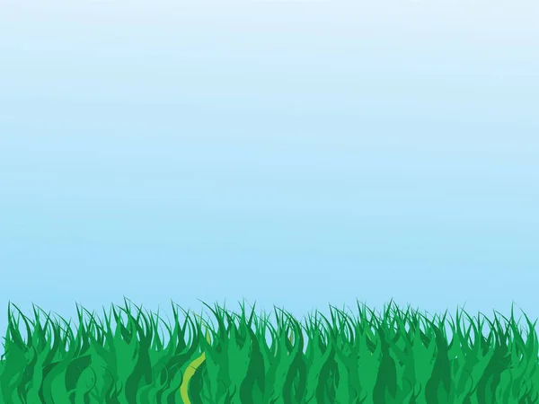 Vektorillustration Von Gras Und Blauem Himmel — Stockvektor