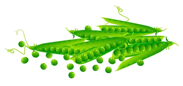 Fresh Green Peas Image Color Illustration — Stock Vector